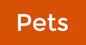 pets1-300x157