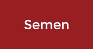 semen-300x157